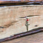 Vefk Nasıl Yapılır? Vefk Yapan Hocalar Kimdir?